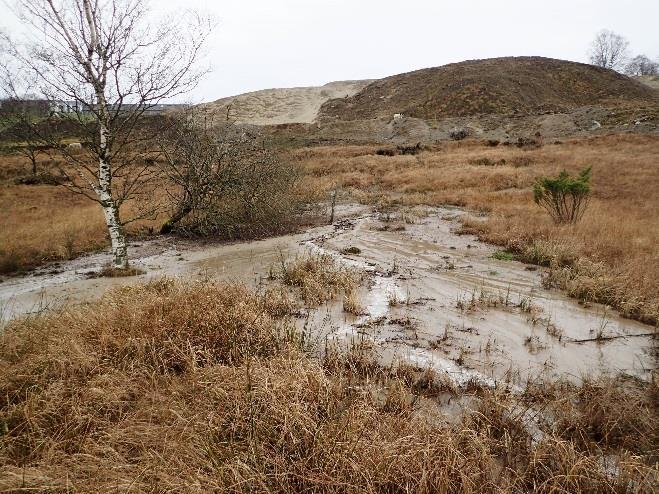 transportert videre. Ved befaringen i desember 2015 ble det notert avsetninger av sand mellom trærne langs bekken helt nede ved utløpet.