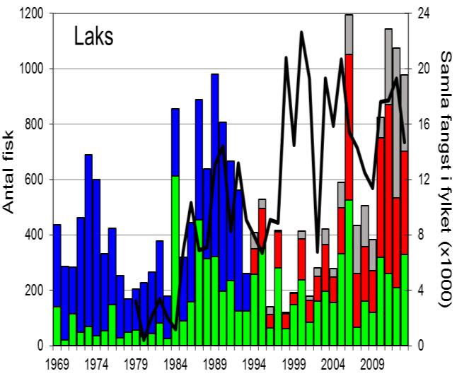 FANGST OG SKJELPRØVAR I SULDALSLÅGEN Gjennomsnittleg årsfangst av laks i perioden 1969-2013 var 492 (snittvekt 5,1 kg).