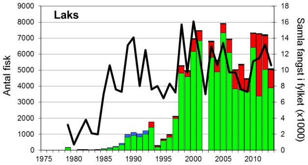 FANGST OG SKJELPRØVAR I BJERKREIMSELVA Gjennomsnittleg årsfangst i perioden 1976-2013 var 3276 laks (snittvekt 2,2 kg) og 175 sjøaurar (snittvekt 0,8 kg).