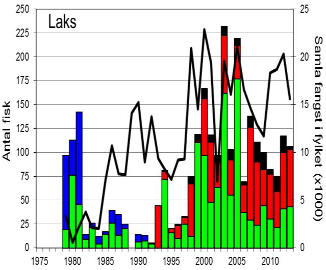 FANGST OG SKJELPRØVAR I ULLA Gjennomsnittleg årsfangst i perioden 1975-2013 var 79 laks (snittvekt 3,5 kg) og 17 sjøaurar (snittvekt 1,0 kg).