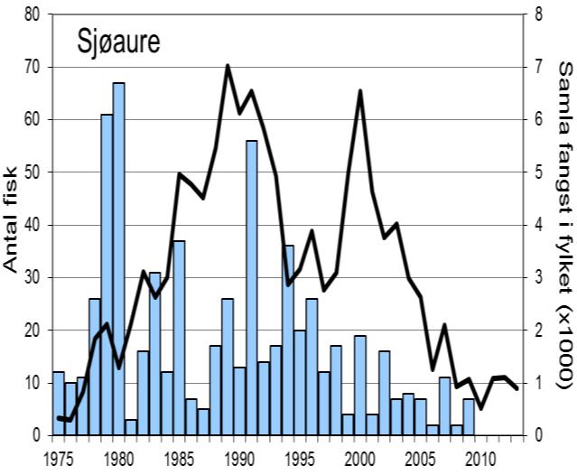 Etter ein brukbar laksefangst i 2007 gjekk det jamt nedover, og det oppsvinget ein såg i dei fleste andre elvane i Rogaland i 2010 skjedde ikkje i Ulla (figur 1, linje).