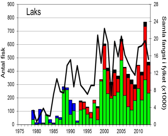 FANGST OG SKJELPRØVAR I VORMA Gjennomsnittleg årsfangst i perioden 1977-2013 var 255 laks (snittvekt 3,2 kg) og 49 sjøaurar (snittvekt 0,8 kg).