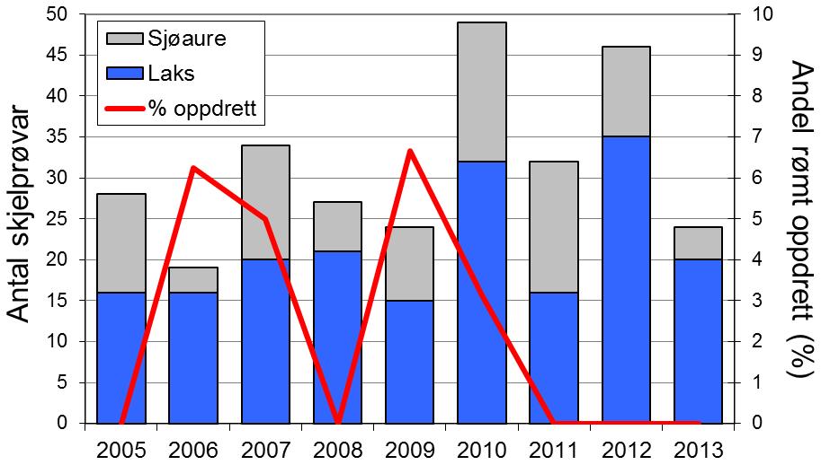 FANGST OG SKJELPRØVAR I LYSEELVA Gjennomsnittleg årsfangst i perioden 1993-2013 var 19 laks (snittvekt 3,5 kg) og 35 sjøaurar (snittvekt 0,7 kg).