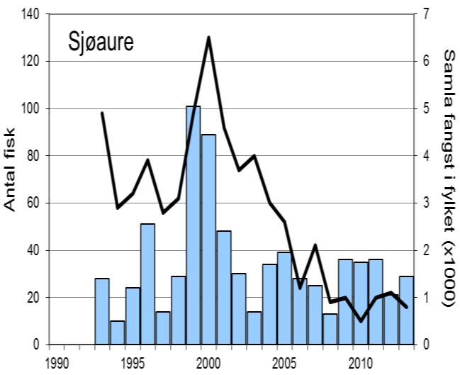 Laksefangstane har auka jamt sidan 1999, med 2010 som rekordår, medan sjøaurefangstane stort sett har variert mellom 15 og 40 per år, med unntak av nokre gode år rundt tusenårsskiftet.