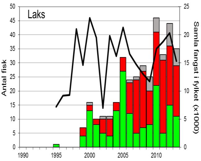 Det er også fleire år med klare avvik, for både laks og sjøaure (figur 1, linje), men i så fåtalige bestandar som i Lyseelva er sjansane for tilfeldige avvik større.
