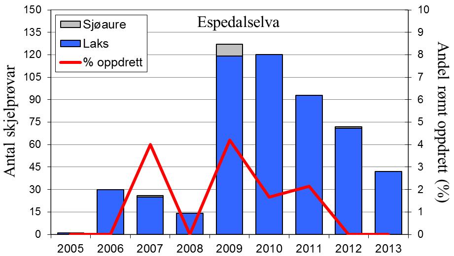 FANGST OG SKJELPRØVAR I ESPEDALSELVA Gjennomsnittleg årsfangst av laks i perioden 1988-2013 var 321 (snittvekt 3,8 kg).