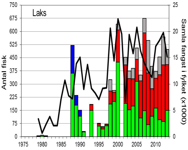 Gjennomsnittleg fangst av sjøaure i perioden 1988-2009 var 127 fisk (snittvekt 1,0 kg). Fangstane avtok frå 2000 og utover, og frå 2010 har sjøauren vore freda.