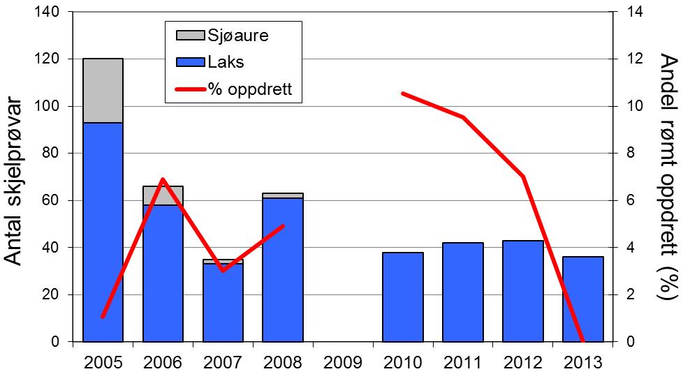 I 2013 vart det fanga 156 laks (snittvekt 3,7 kg), ein liten nedgang frå året før. I perioden 1977-2009 har det vore fanga i snitt 177 sjøaurar per år (snittvekt 1,0 kg).