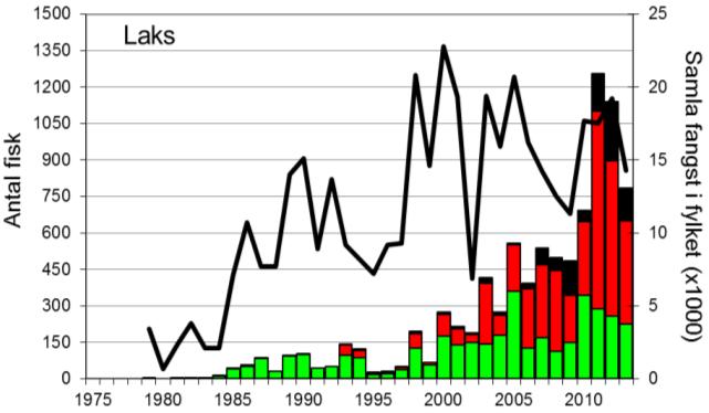 FANGST OG SKJELPRØVAR I DIRDALSELVA Gjennomsnittleg årsfangst i perioden 1977-2013 var 261 laks (snittvekt 3,1 kg) og 114 sjøaurar (snittvekt 0,9 kg).