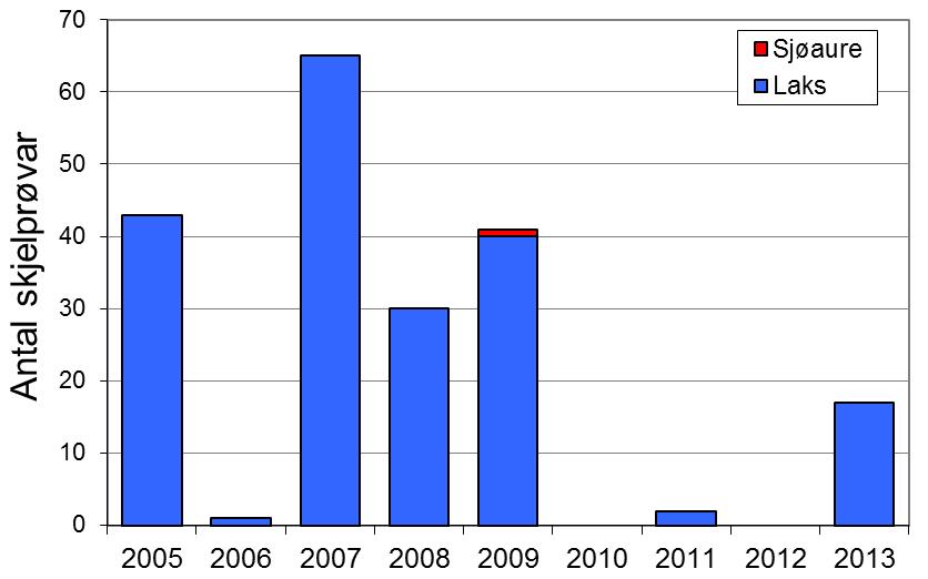 FANGST OG SKJELPRØVAR I HÅELVA Gjennomsnittleg årsfangst i perioden 1985-2013 var 2318 laks (snittvekt 2,3 kg) og 151 sjøaurar (snittvekt 0,8 kg).