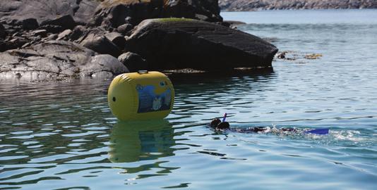 Snorkelløypa har 10 bøyer med informasjon og oppgaver. HVA BEDRIFTEN LÆRTE De fikk tilbakemelding på eksisterende løsning og avdekket behov for endringer.