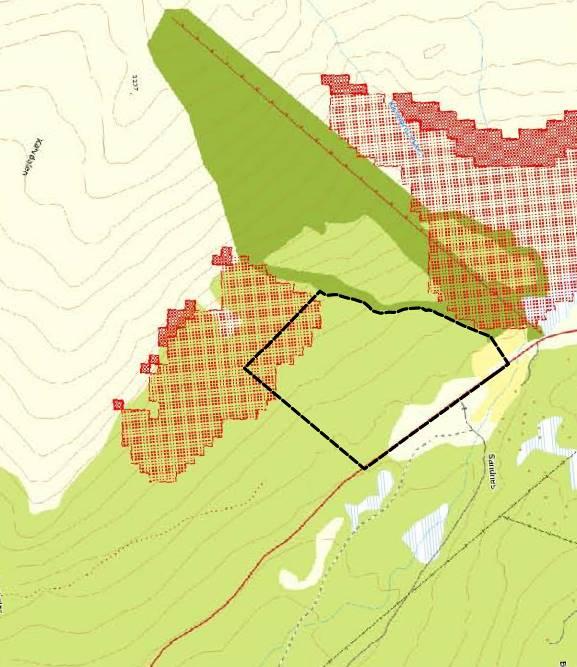 Nordplan side 13 Reguleringsplan for Fjellsida Lemonsjøen Modellar utarbeida over snøskredfare, syner at det ut i frå hellingsgrad på terreng teoretisk er mogleg at det kan gå snøskred der nedkant av