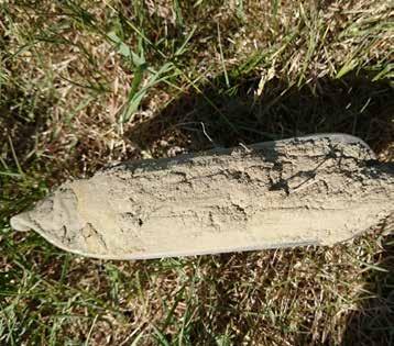SILTJORD Siltjord er også en sedimentær jordart, med kornstørrelse mellom lettleire og finsand. I tørr tilstand minner silt om mel. Silt der alt jernet er vasket ut, er hvit og kalles mjele.