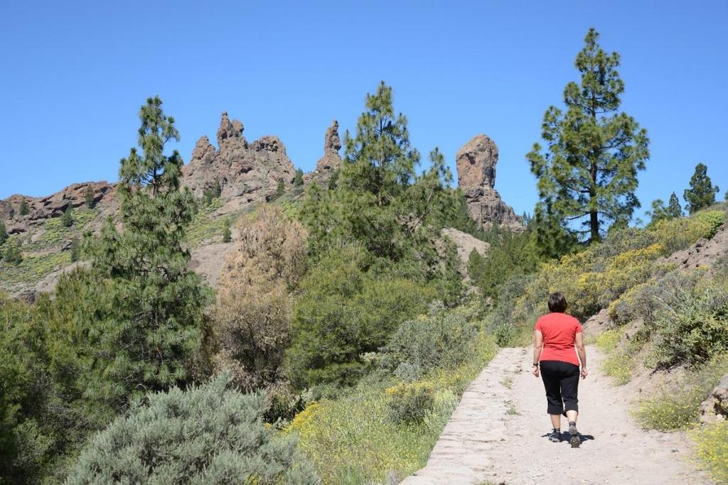 1 LETTE VANDRINGER PÅ GRAN CANARIA Bli med på en aktiv uke på Gran Canaria! Når det er vinter i Norge er varmen behagelig her.