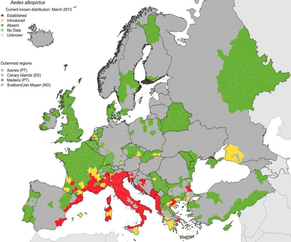 DF i Europa Siste DF-epidemi i Hellas 1927-8 Vektoren Aedes aegypti forsvant etter dette Ae.