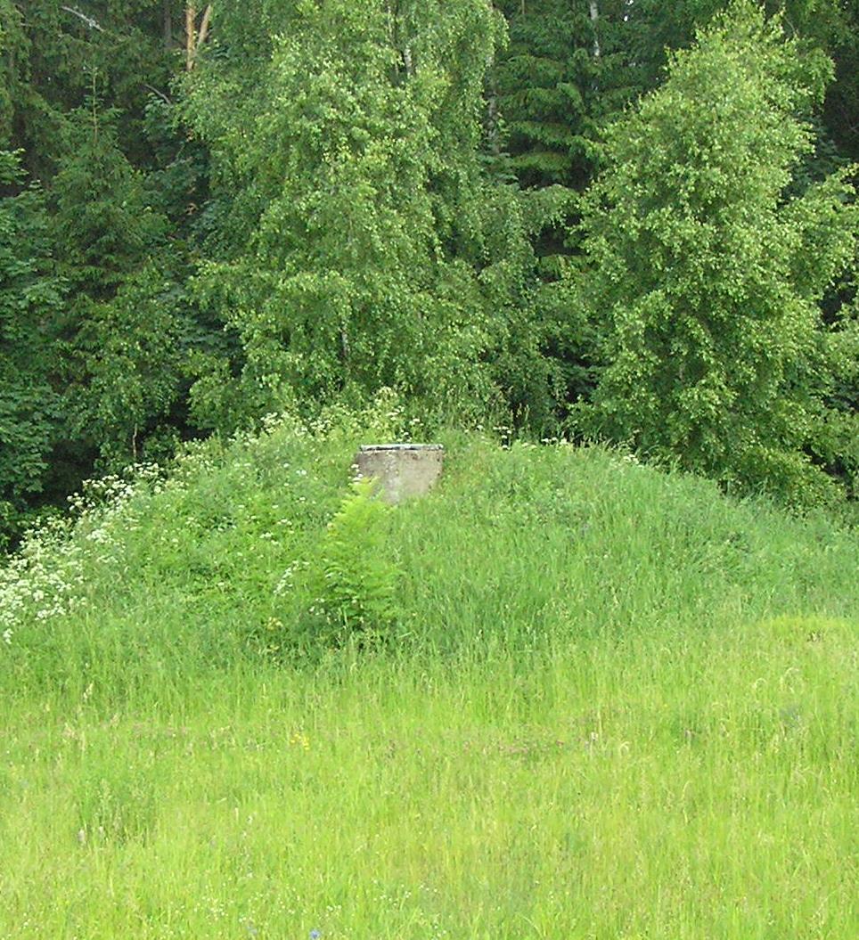 SAVERNA KÜLA REOVEEPUHASTI REKONSTRUEERIMINE TEHNOLOOGILINE PROJEKT puurkaevust pumbatakse vesi otse veevõrku. Puurkaevpumpla varustab veega kultuurimaja ja ümberkaudseid majapidamisi (ca 10 maja).