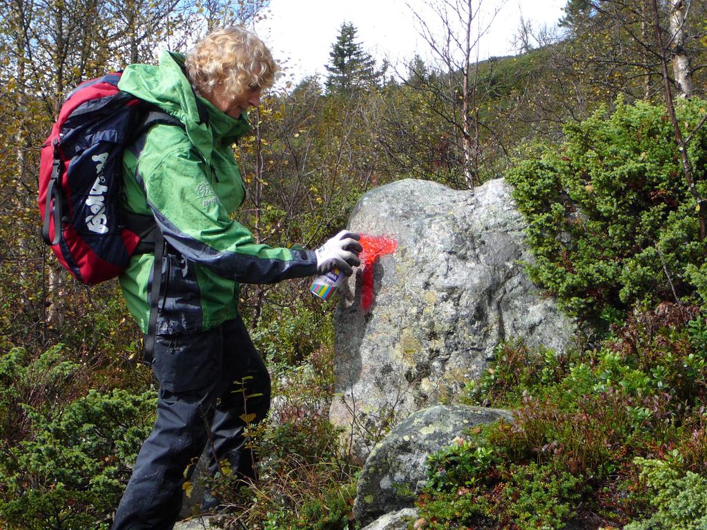 MERKING MERKING OG SKILTING FJELLET Denne sommersesongen ble uvanlig travel for dugnadsinnsatsen i fjellet.