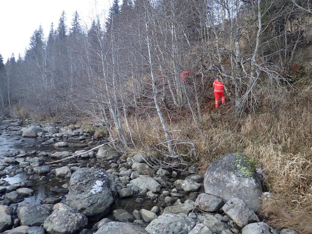 Figur 4 Tegn etter en noen år gammel utrasning ved