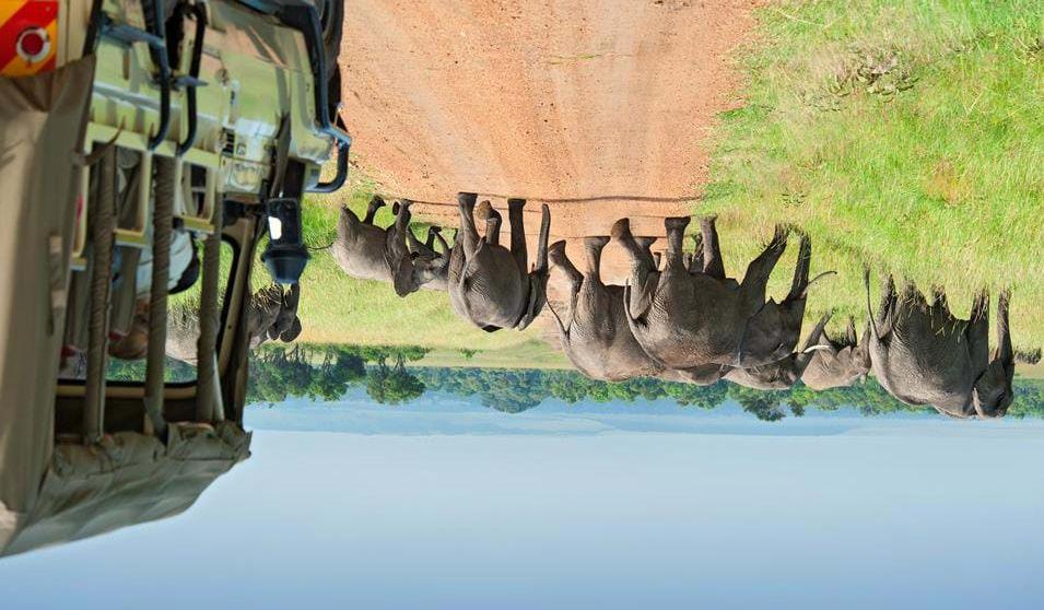 Elefanter i Masai Mara - Safari i Kenya og badeferie på Zanzibar Måltider inkludert: Middag Dere kan velge mellom et 3 stjerners hotell og et 4 stjernes hotell på Zanzibar: 3 stjerners overnatting: