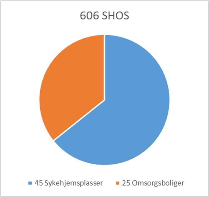 3 STRATEGI, STYRINGS/PROSJEKTMÅL OG FØRENDE DOKUMENTER 3.