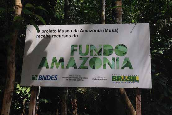 Norske betalinger til Brasil overføres til Amazonasfondet for videre investeringer i bærekraftig utvikling i Amazonas.