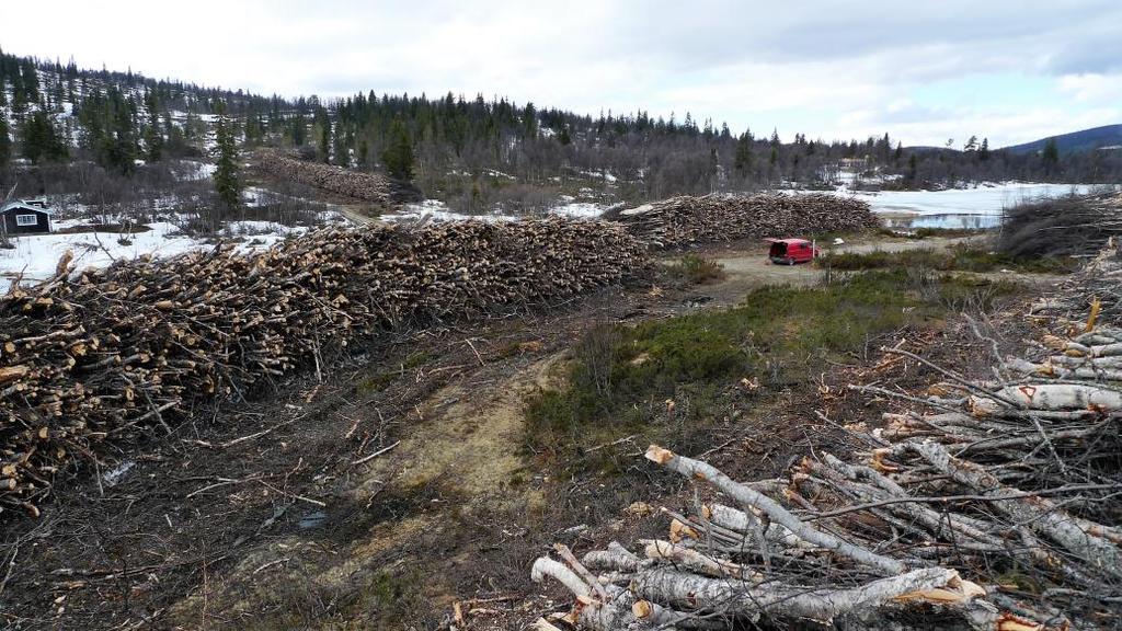 open Storage and drying of whole tree materials is ok!