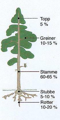 Skogsbrensel sortimenter Stammeved