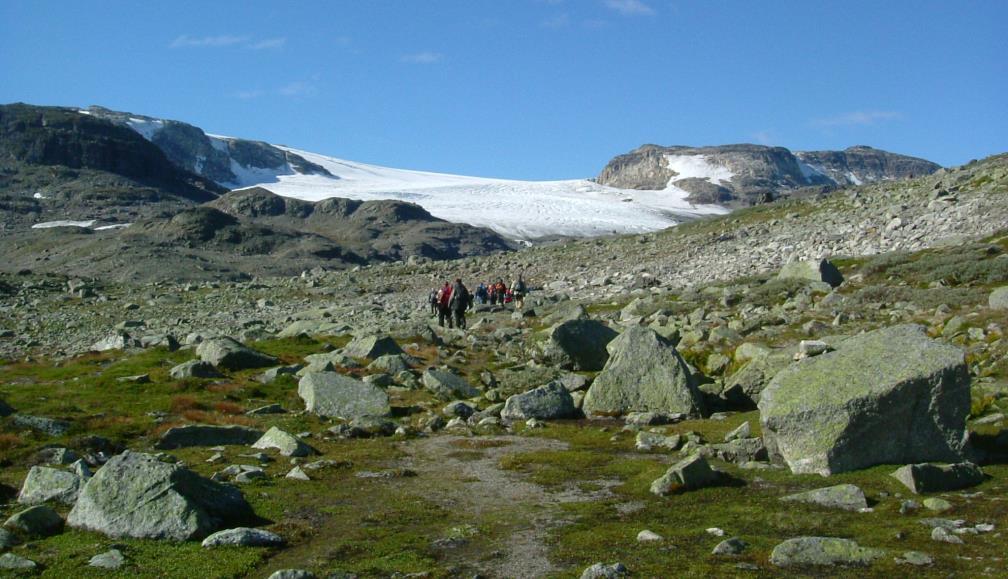 Finse-ekskursjon Alle som tar GEO1100 skal på ekskursjon til Finse neste uke