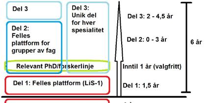 Figur 1: Oversikt over nytt spesialiseringsløp.