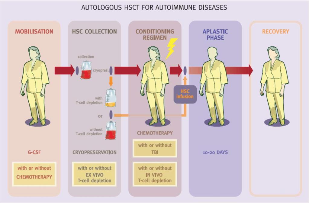 http://multiple-sclerosis-research.blogspot.