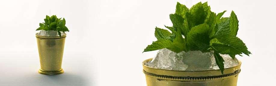 Separately, with all ingredients and cubed ice in a mixing glass stir till ice cold and the flavours and aromas of the mint have
