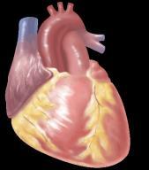 Failure Atrial fibrillation