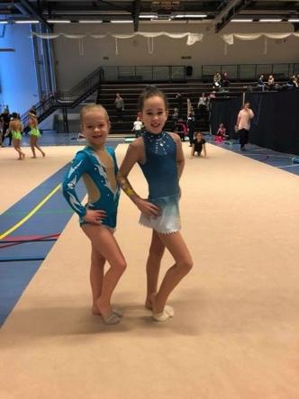 6.2 Årsrapport RG Meldingen omfatter minirekrutter, rekrutter, junior og senior. Pr. 31.12.17 er det 18 gymnaster på partiene fordelt med hhv.