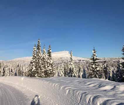 TOMTENE: Blekastad Hyttefelt ligger ca. 750 m.o.h.