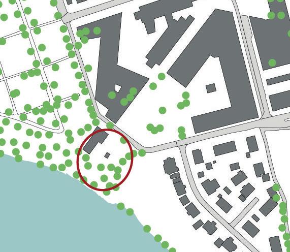 Møteplass Nidelvkorridoren har viktig nasjonal naturverdi Overvannshåndtering Ny plass vest for Sem Sælands vei i overgangen mellom Høgskoleparken og