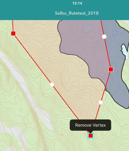 2 Slette enkeltpunkt i figuren Du kan slette et enkelt punkt ved å trykke raskt to ganger på punktet og velge "Remove