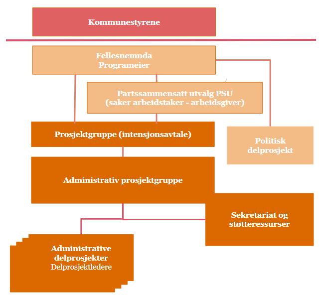 5. Organisering Prinsipper for organisering av sammenslåingsprogrammet Tydelig ansvars- og rolleavklaring er avgjørende for programmets suksess.