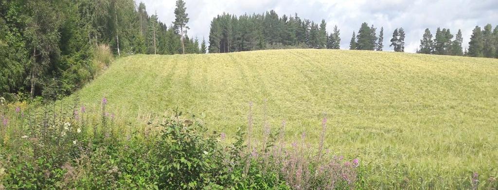 Overvåking av tilløpsbekker til Flagstadelva og Finsalbekken