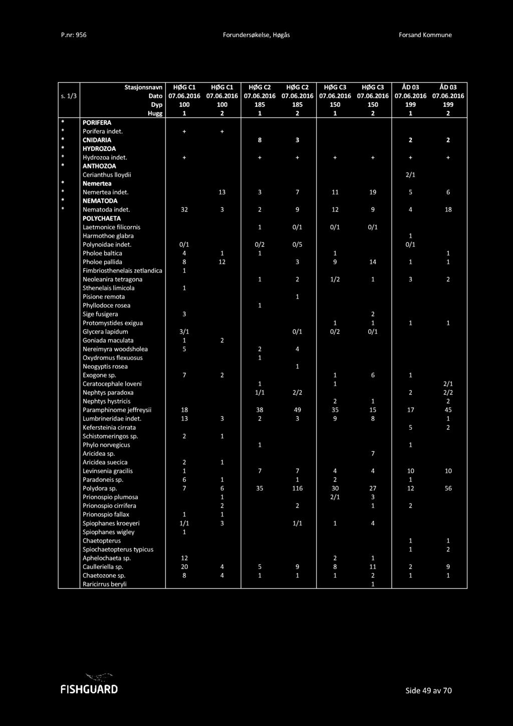 Stasjonsnavn HØG C1 HØG C1 HØG C2 HØG C2 HØG C3 HØG C3 ÅD 03 ÅD 03 s. 1/3 Dato 07.06.2016 07.06.2016 07.06.2016 07.06.2016 07.06.2016 07.06.2016 07.06.2016 07.06.2016 Dyp 100 100 185 185 150 150 199 199 Hugg 1 2 1 2 1 2 1 2 * PORIFERA * Porifera indet.