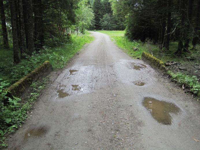 402107 Betongplatebru med oppstøpte venger i ett spenn med lysåpning 2,5 m.  Brua er ca.