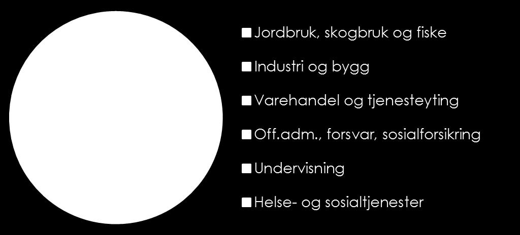 NÆRINGER OG BRANSJER 4 av 10 trøndere jobber innenfor varehandel og tjenesteyting. Helse og omsorg utgjør 22 % av de sysselsatte. Det er store regionale forskjeller.