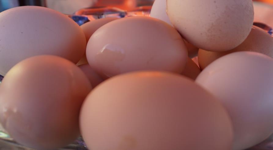 OPPGAVE 4 Et egg veier 65 g. Det består av omtrent 60 % eggehvite, 30 % eggeplomme og resten er skall. a) Hvor mange gram eggeplomme og hvor mange gram skall har egget? I Norge er det ca.