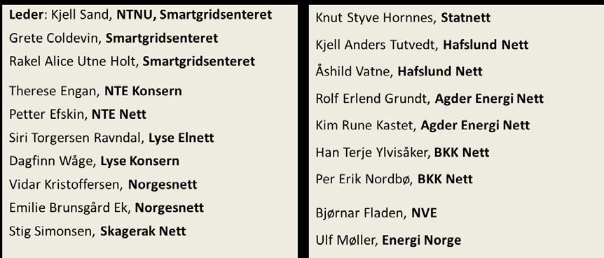 Følgende personer har vært involvert i den nasjonale Koordineringskomiteen for Demo Norge.