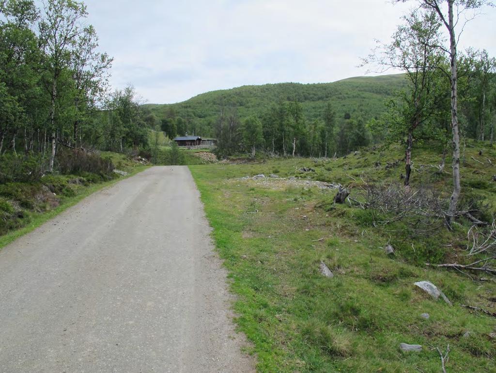 Bilde 6-7: Areal for plassering av en sankefelle ved Geitsetra / Raudåe. Lesja fjellstyre behandlet på møte 08.06.