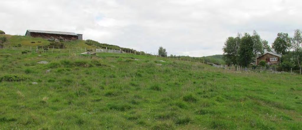 forutsetter at fjellstyret, kommunen og vernemyndigheten godkjenner tiltaket. Ved befaring i området 08.06.