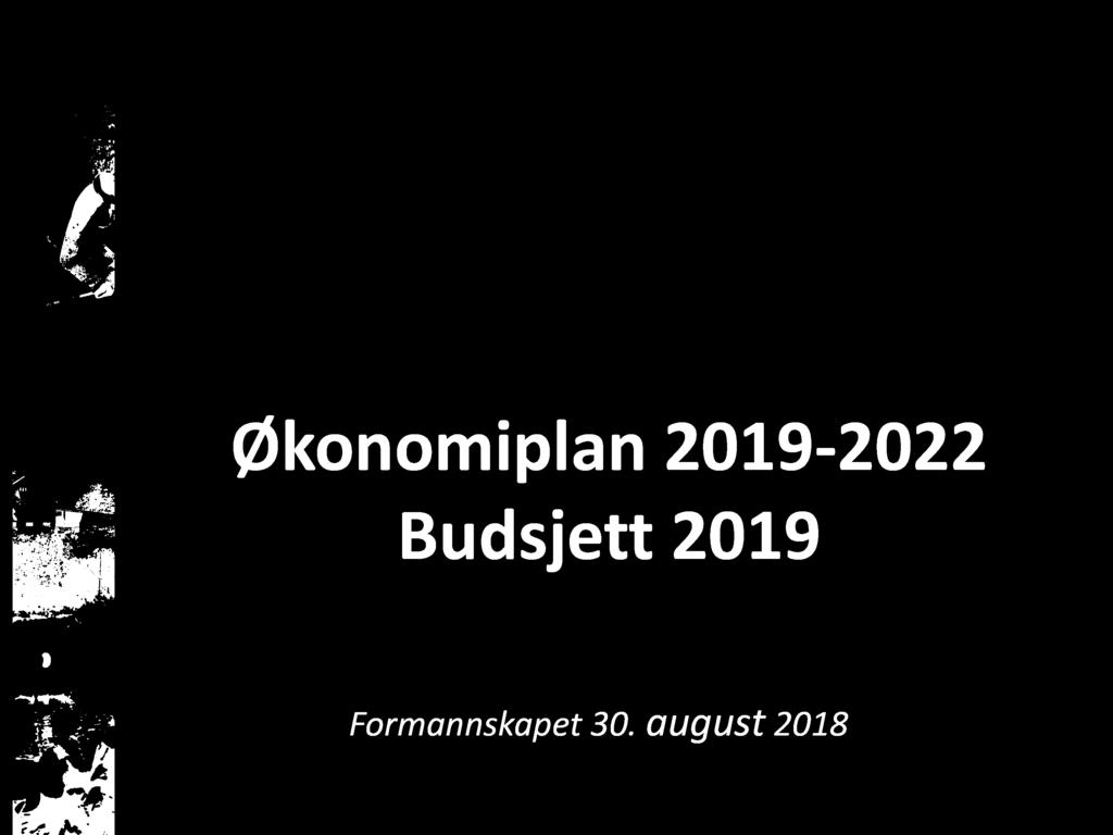 Økonomiplan 2019-2022 Budsjett