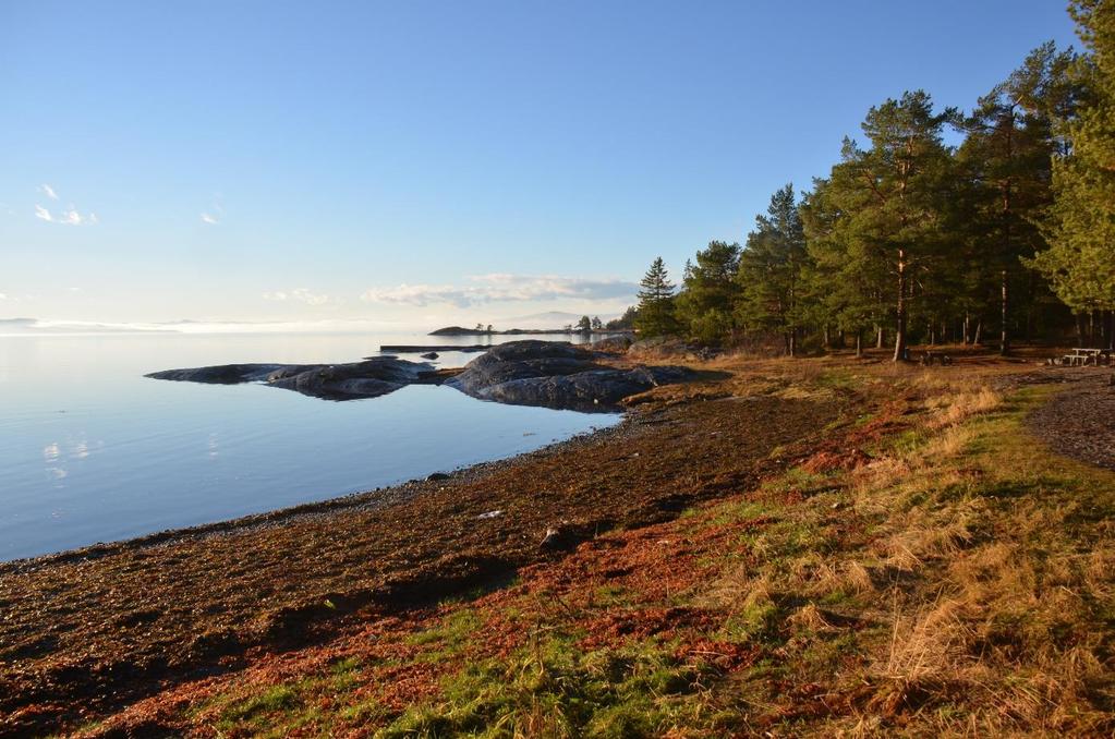 Hoøya i Steinkjer kommune. Foto: Fylkesmannen i Trøndelag Fylkesmannens uttalelser Fylkesmannen vil gi uttalelse til alle dispensasjonssaker som sendes på høring.