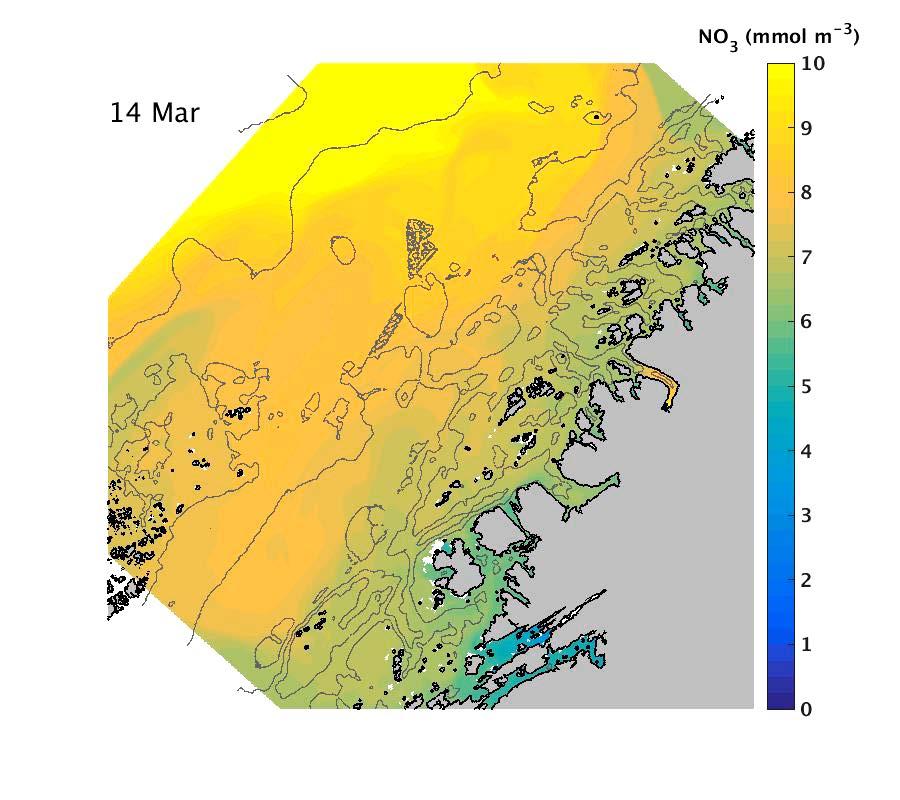 Miljøbetingelser Simulert nitratkonsentrasjon utenfor Fosen Våroppblomstringen av