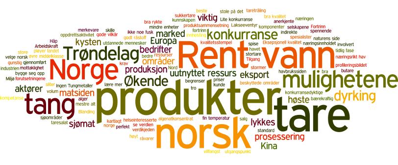 Femtiden og muligheter "Dette kommer til å bli en bredspektret industri i Norge i fremtiden" Om 5-10 år kommer dette til å bli en stor industri i regionen, med et stort mangfold av produksjonsmetoder