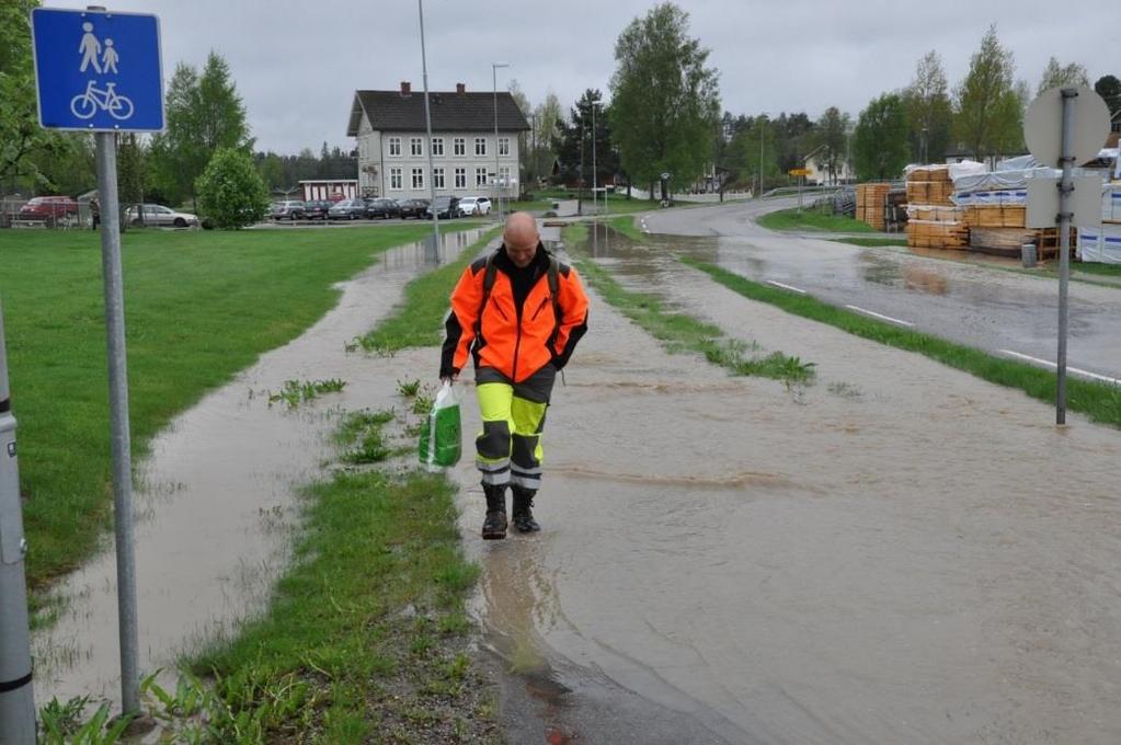 Beskrivelse av